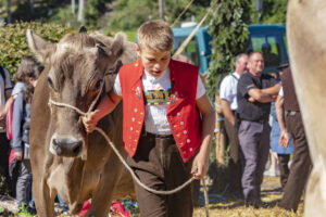 Appenzell, Appenzell Ausserrohden, Appenzeller Vorderland, Autumn, Brauchtum, Fall, Herbst, Ostschweiz, Rehetobel, Schweiz, Sennen, Suisse, Switzerland, Tracht, Viehschau, Wald, Wald AR, tradition
