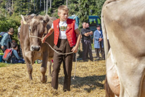Appenzell, Appenzell Ausserrohden, Appenzeller Vorderland, Autumn, Brauchtum, Fall, Herbst, Ostschweiz, Rehetobel, Schweiz, Sennen, Suisse, Switzerland, Tracht, Viehschau, Wald, Wald AR, tradition
