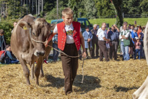 Appenzell, Appenzell Ausserrohden, Appenzeller Vorderland, Autumn, Brauchtum, Fall, Herbst, Ostschweiz, Rehetobel, Schweiz, Sennen, Suisse, Switzerland, Tracht, Viehschau, Wald, Wald AR, tradition