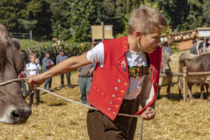 Appenzell, Appenzell Ausserrohden, Appenzeller Vorderland, Autumn, Brauchtum, Fall, Herbst, Ostschweiz, Rehetobel, Schweiz, Sennen, Suisse, Switzerland, Tracht, Viehschau, Wald, Wald AR, tradition