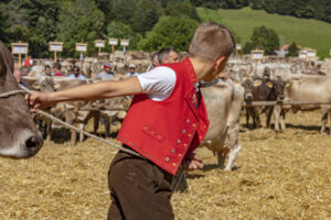 Appenzell, Appenzell Ausserrohden, Appenzeller Vorderland, Autumn, Brauchtum, Fall, Herbst, Ostschweiz, Rehetobel, Schweiz, Sennen, Suisse, Switzerland, Tracht, Viehschau, Wald, Wald AR, tradition