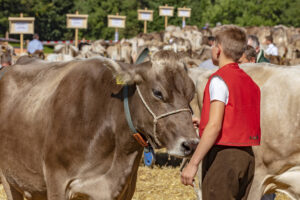 Appenzell, Appenzell Ausserrohden, Appenzeller Vorderland, Autumn, Brauchtum, Fall, Herbst, Ostschweiz, Rehetobel, Schweiz, Sennen, Suisse, Switzerland, Tracht, Viehschau, Wald, Wald AR, tradition