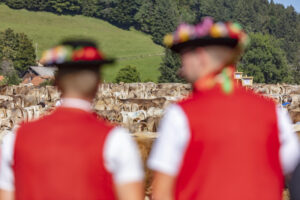 Appenzell, Appenzell Ausserrohden, Appenzeller Vorderland, Autumn, Brauchtum, Fall, Herbst, Ostschweiz, Rehetobel, Schweiz, Sennen, Suisse, Switzerland, Tracht, Viehschau, Wald, Wald AR, tradition