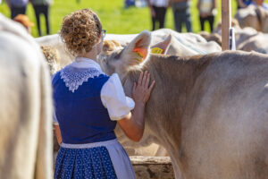 Appenzell, Appenzell Ausserrohden, Appenzeller Vorderland, Autumn, Brauchtum, Fall, Herbst, Ostschweiz, Rehetobel, Schweiz, Sennen, Suisse, Switzerland, Tracht, Viehschau, Wald, Wald AR, tradition