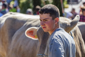 Appenzell, Appenzell Ausserrohden, Appenzeller Vorderland, Autumn, Brauchtum, Fall, Herbst, Ostschweiz, Rehetobel, Schweiz, Sennen, Suisse, Switzerland, Tracht, Viehschau, Wald, Wald AR, tradition