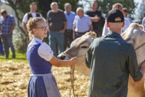 Appenzell, Appenzell Ausserrohden, Appenzeller Vorderland, Autumn, Brauchtum, Fall, Herbst, Ostschweiz, Rehetobel, Schweiz, Sennen, Suisse, Switzerland, Tracht, Viehschau, Wald, Wald AR, tradition
