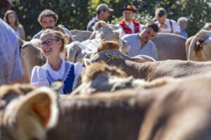 Appenzell, Appenzell Ausserrohden, Appenzeller Vorderland, Autumn, Brauchtum, Fall, Herbst, Ostschweiz, Rehetobel, Schweiz, Sennen, Suisse, Switzerland, Tracht, Viehschau, Wald, Wald AR, tradition