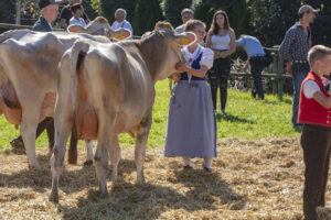 Appenzell, Appenzell Ausserrohden, Appenzeller Vorderland, Autumn, Brauchtum, Fall, Herbst, Ostschweiz, Rehetobel, Schweiz, Sennen, Suisse, Switzerland, Tracht, Viehschau, Wald, Wald AR, tradition