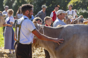 Appenzell, Appenzell Ausserrohden, Appenzeller Vorderland, Autumn, Brauchtum, Fall, Herbst, Ostschweiz, Rehetobel, Schweiz, Sennen, Suisse, Switzerland, Tracht, Viehschau, Wald, Wald AR, tradition