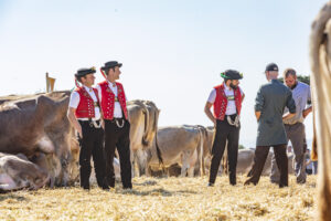 Appenzell, Appenzell Ausserrohden, Appenzeller Vorderland, Autumn, Brauchtum, Fall, Herbst, Ostschweiz, Rehetobel, Schweiz, Sennen, Suisse, Switzerland, Tracht, Viehschau, Wald, Wald AR, tradition