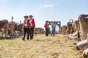 Appenzell, Appenzell Ausserrohden, Appenzeller Vorderland, Autumn, Brauchtum, Fall, Herbst, Ostschweiz, Rehetobel, Schweiz, Sennen, Suisse, Switzerland, Tracht, Viehschau, Wald, Wald AR, tradition