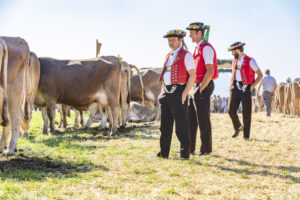 Appenzell, Appenzell Ausserrohden, Appenzeller Vorderland, Autumn, Brauchtum, Fall, Herbst, Ostschweiz, Rehetobel, Schweiz, Sennen, Suisse, Switzerland, Tracht, Viehschau, Wald, Wald AR, tradition