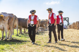 Appenzell, Appenzell Ausserrohden, Appenzeller Vorderland, Autumn, Brauchtum, Fall, Herbst, Ostschweiz, Rehetobel, Schweiz, Sennen, Suisse, Switzerland, Tracht, Viehschau, Wald, Wald AR, tradition