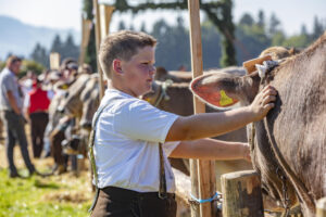 Appenzell, Appenzell Ausserrohden, Appenzeller Vorderland, Autumn, Brauchtum, Fall, Herbst, Ostschweiz, Rehetobel, Schweiz, Sennen, Suisse, Switzerland, Tracht, Viehschau, Wald, Wald AR, tradition