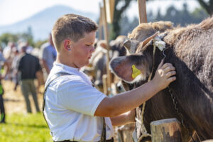 Appenzell, Appenzell Ausserrohden, Appenzeller Vorderland, Autumn, Brauchtum, Fall, Herbst, Ostschweiz, Rehetobel, Schweiz, Sennen, Suisse, Switzerland, Tracht, Viehschau, Wald, Wald AR, tradition