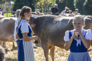 Appenzell, Appenzell Ausserrohden, Appenzeller Vorderland, Autumn, Brauchtum, Fall, Herbst, Ostschweiz, Rehetobel, Schweiz, Sennen, Suisse, Switzerland, Tracht, Viehschau, Wald, Wald AR, tradition