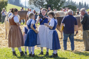 Appenzell, Appenzell Ausserrohden, Appenzeller Vorderland, Autumn, Brauchtum, Fall, Herbst, Ostschweiz, Rehetobel, Schweiz, Sennen, Suisse, Switzerland, Tracht, Viehschau, Wald, Wald AR, tradition