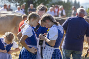 Appenzell, Appenzell Ausserrohden, Appenzeller Vorderland, Autumn, Brauchtum, Fall, Herbst, Ostschweiz, Rehetobel, Schweiz, Sennen, Suisse, Switzerland, Tracht, Viehschau, Wald, Wald AR, tradition