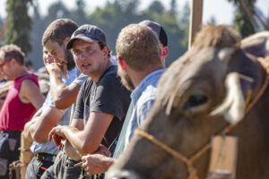 Appenzell, Appenzell Ausserrohden, Appenzeller Vorderland, Autumn, Brauchtum, Fall, Herbst, Ostschweiz, Rehetobel, Schweiz, Sennen, Suisse, Switzerland, Tracht, Viehschau, Wald, Wald AR, tradition