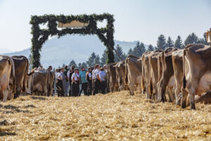 Appenzell, Appenzell Ausserrohden, Appenzeller Vorderland, Autumn, Brauchtum, Fall, Herbst, Ostschweiz, Rehetobel, Schweiz, Sennen, Suisse, Switzerland, Tracht, Viehschau, Wald, Wald AR, tradition