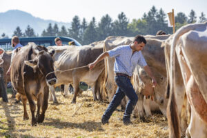 Appenzell, Appenzell Ausserrohden, Appenzeller Vorderland, Autumn, Brauchtum, Fall, Herbst, Ostschweiz, Rehetobel, Schweiz, Sennen, Suisse, Switzerland, Tracht, Viehschau, Wald, Wald AR, tradition