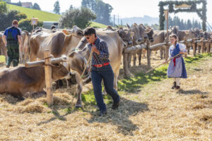 Appenzell, Appenzell Ausserrohden, Appenzeller Vorderland, Autumn, Brauchtum, Fall, Herbst, Ostschweiz, Rehetobel, Schweiz, Sennen, Suisse, Switzerland, Tracht, Viehschau, Wald, Wald AR, tradition