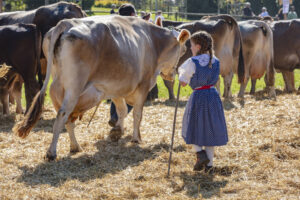 Appenzell, Appenzell Ausserrohden, Appenzeller Vorderland, Autumn, Brauchtum, Fall, Herbst, Ostschweiz, Rehetobel, Schweiz, Sennen, Suisse, Switzerland, Tracht, Viehschau, Wald, Wald AR, tradition