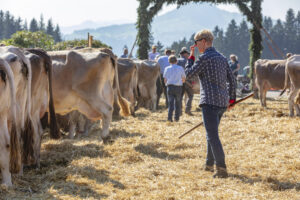 Appenzell, Appenzell Ausserrohden, Appenzeller Vorderland, Autumn, Brauchtum, Fall, Herbst, Ostschweiz, Rehetobel, Schweiz, Sennen, Suisse, Switzerland, Tracht, Viehschau, Wald, Wald AR, tradition