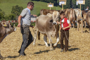 Appenzell, Appenzell Ausserrohden, Appenzeller Vorderland, Autumn, Brauchtum, Fall, Herbst, Ostschweiz, Rehetobel, Schweiz, Sennen, Suisse, Switzerland, Tracht, Viehschau, Wald, Wald AR, tradition