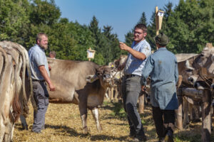 Appenzell, Appenzell Ausserrohden, Appenzeller Vorderland, Autumn, Brauchtum, Fall, Herbst, Ostschweiz, Rehetobel, Schweiz, Sennen, Suisse, Switzerland, Tracht, Viehschau, Wald, Wald AR, tradition