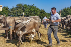 Appenzell, Appenzell Ausserrohden, Appenzeller Vorderland, Autumn, Brauchtum, Fall, Herbst, Ostschweiz, Rehetobel, Schweiz, Sennen, Suisse, Switzerland, Tracht, Viehschau, Wald, Wald AR, tradition