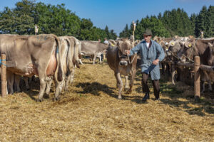 Appenzell, Appenzell Ausserrohden, Appenzeller Vorderland, Autumn, Brauchtum, Fall, Herbst, Ostschweiz, Rehetobel, Schweiz, Sennen, Suisse, Switzerland, Tracht, Viehschau, Wald, Wald AR, tradition