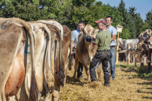 Appenzell, Appenzell Ausserrohden, Appenzeller Vorderland, Autumn, Brauchtum, Fall, Herbst, Ostschweiz, Rehetobel, Schweiz, Sennen, Suisse, Switzerland, Tracht, Viehschau, Wald, Wald AR, tradition