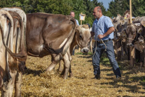 Appenzell, Appenzell Ausserrohden, Appenzeller Vorderland, Autumn, Brauchtum, Fall, Herbst, Ostschweiz, Rehetobel, Schweiz, Sennen, Suisse, Switzerland, Tracht, Viehschau, Wald, Wald AR, tradition