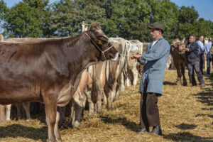 Appenzell, Appenzell Ausserrohden, Appenzeller Vorderland, Autumn, Brauchtum, Fall, Herbst, Ostschweiz, Rehetobel, Schweiz, Sennen, Suisse, Switzerland, Tracht, Viehschau, Wald, Wald AR, tradition