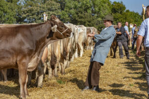 Appenzell, Appenzell Ausserrohden, Appenzeller Vorderland, Autumn, Brauchtum, Fall, Herbst, Ostschweiz, Rehetobel, Schweiz, Sennen, Suisse, Switzerland, Tracht, Viehschau, Wald, Wald AR, tradition