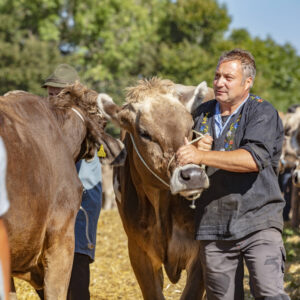 Appenzell, Appenzell Ausserrohden, Appenzeller Vorderland, Autumn, Brauchtum, Fall, Herbst, Ostschweiz, Rehetobel, Schweiz, Sennen, Suisse, Switzerland, Tracht, Viehschau, Wald, Wald AR, tradition