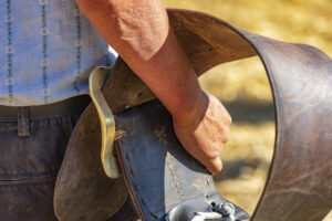Appenzell, Appenzell Ausserrohden, Appenzeller Vorderland, Autumn, Brauchtum, Fall, Herbst, Ostschweiz, Rehetobel, Schweiz, Sennen, Suisse, Switzerland, Tracht, Viehschau, Wald, Wald AR, tradition