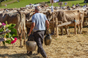 Appenzell, Appenzell Ausserrohden, Appenzeller Vorderland, Autumn, Brauchtum, Fall, Herbst, Ostschweiz, Rehetobel, Schweiz, Sennen, Suisse, Switzerland, Tracht, Viehschau, Wald, Wald AR, tradition