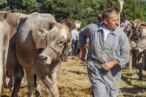 Appenzell, Appenzell Ausserrohden, Appenzeller Vorderland, Autumn, Brauchtum, Fall, Herbst, Ostschweiz, Rehetobel, Schweiz, Sennen, Suisse, Switzerland, Tracht, Viehschau, Wald, Wald AR, tradition