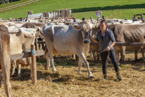 Appenzell, Appenzell Ausserrohden, Appenzeller Vorderland, Autumn, Brauchtum, Fall, Herbst, Ostschweiz, Rehetobel, Schweiz, Sennen, Suisse, Switzerland, Tracht, Viehschau, Wald, Wald AR, tradition