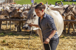 Appenzell, Appenzell Ausserrohden, Appenzeller Vorderland, Autumn, Brauchtum, Fall, Herbst, Ostschweiz, Rehetobel, Schweiz, Sennen, Suisse, Switzerland, Tracht, Viehschau, Wald, Wald AR, tradition