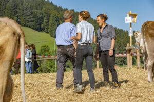 Appenzell, Appenzell Ausserrohden, Appenzeller Vorderland, Autumn, Brauchtum, Fall, Herbst, Ostschweiz, Rehetobel, Schweiz, Sennen, Suisse, Switzerland, Tracht, Viehschau, Wald, Wald AR, tradition