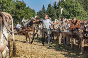 Appenzell, Appenzell Ausserrohden, Appenzeller Vorderland, Autumn, Brauchtum, Fall, Herbst, Ostschweiz, Rehetobel, Schweiz, Sennen, Suisse, Switzerland, Tracht, Viehschau, Wald, Wald AR, tradition