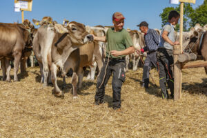 Appenzell, Appenzell Ausserrohden, Appenzeller Vorderland, Autumn, Brauchtum, Fall, Herbst, Ostschweiz, Rehetobel, Schweiz, Sennen, Suisse, Switzerland, Tracht, Viehschau, Wald, Wald AR, tradition