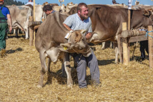 Appenzell, Appenzell Ausserrohden, Appenzeller Vorderland, Autumn, Brauchtum, Fall, Herbst, Ostschweiz, Rehetobel, Schweiz, Sennen, Suisse, Switzerland, Tracht, Viehschau, Wald, Wald AR, tradition