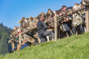 Appenzell, Appenzell Ausserrohden, Appenzeller Vorderland, Autumn, Brauchtum, Fall, Herbst, Ostschweiz, Rehetobel, Schweiz, Sennen, Suisse, Switzerland, Tracht, Viehschau, Wald, Wald AR, tradition