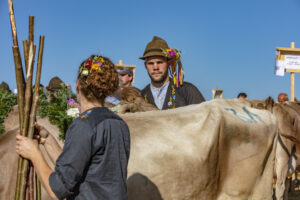 Appenzell, Appenzell Ausserrohden, Appenzeller Vorderland, Autumn, Brauchtum, Fall, Herbst, Ostschweiz, Rehetobel, Schweiz, Sennen, Suisse, Switzerland, Tracht, Viehschau, Wald, Wald AR, tradition