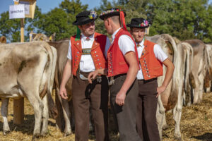 Appenzell, Appenzell Ausserrohden, Appenzeller Vorderland, Autumn, Brauchtum, Fall, Herbst, Ostschweiz, Rehetobel, Schweiz, Sennen, Suisse, Switzerland, Tracht, Viehschau, Wald, Wald AR, tradition