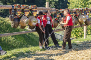 Appenzell, Appenzell Ausserrohden, Appenzeller Vorderland, Autumn, Brauchtum, Fall, Herbst, Ostschweiz, Rehetobel, Schweiz, Sennen, Suisse, Switzerland, Tracht, Viehschau, Wald, Wald AR, tradition